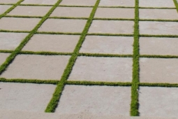gras-tussen-tegels